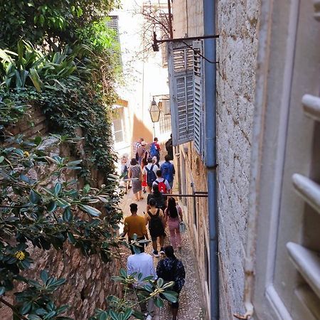 Studio Ella دوبروفينك المظهر الخارجي الصورة